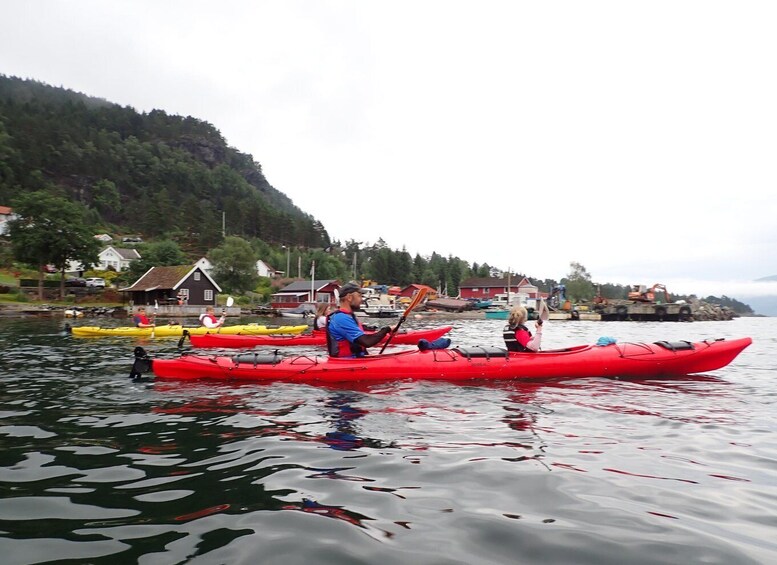 Picture 8 for Activity Jørpeland: Guided fjordtour kayak