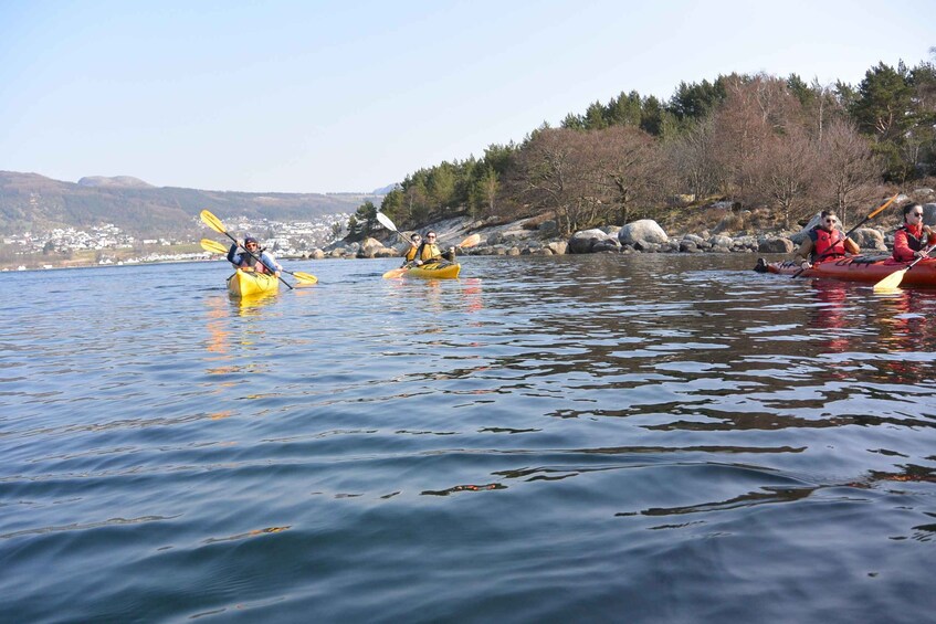 Picture 3 for Activity Jørpeland: Guided fjordtour kayak