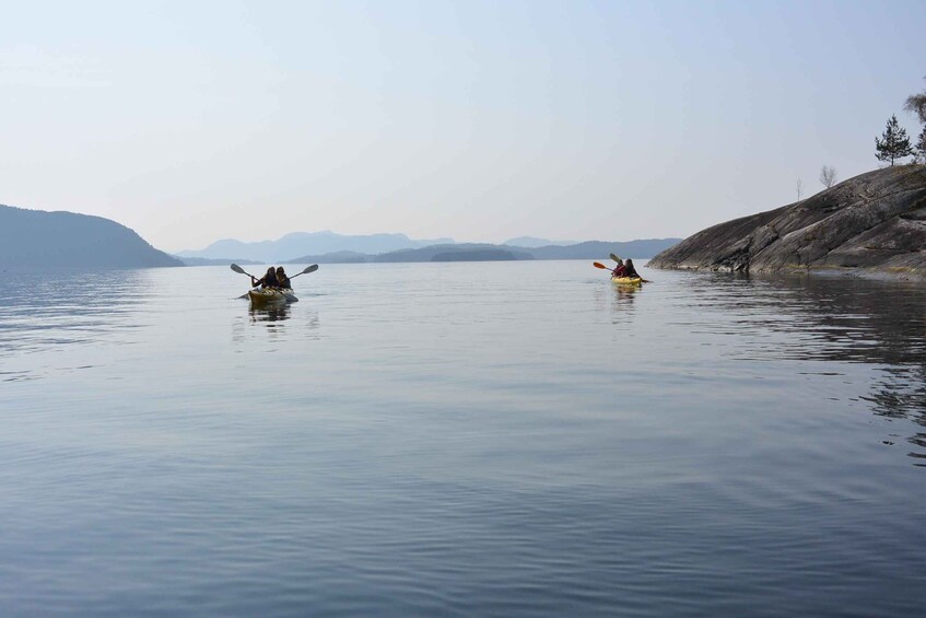 Picture 4 for Activity Jørpeland: Guided fjordtour kayak