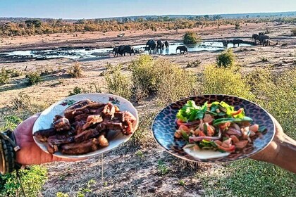 3 Hours Braai/BBQ Safari Game Drive in Zambezi National Park