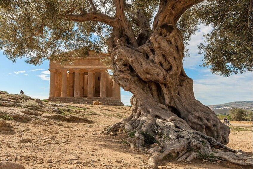 Agrigento to Siracusa with Valley of Temples and Roman Villa Trip