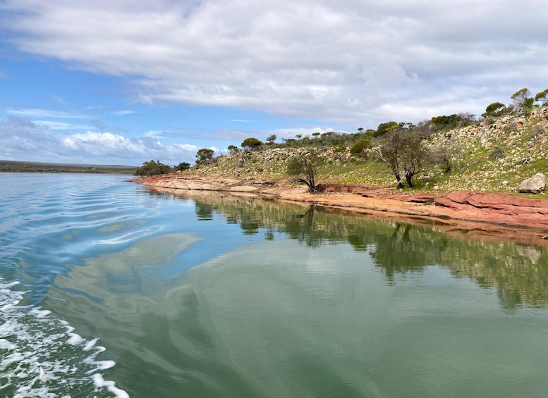 Picture 16 for Activity Kalbarri: Cruise on the Murchison River