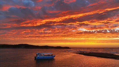 卡尔巴里：默奇森河荒野野生动物游轮