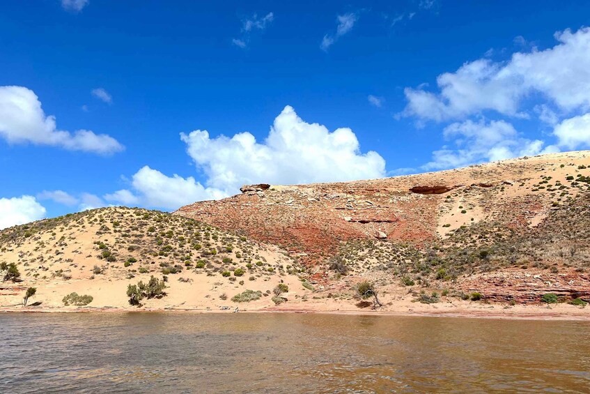 Picture 15 for Activity Kalbarri: Cruise on the Murchison River