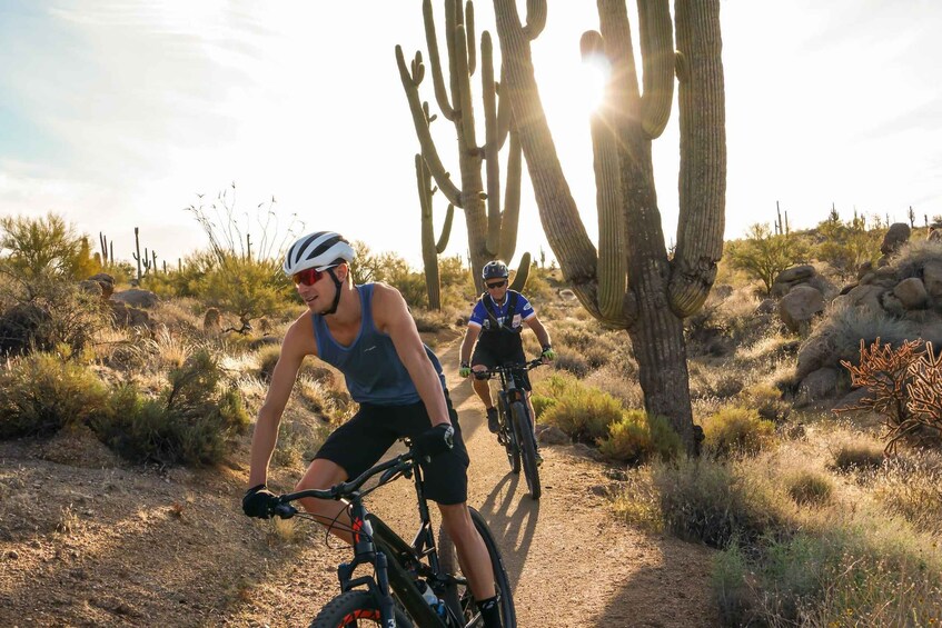 Picture 1 for Activity Scottsdale: Half-Day Sonoran Desert Mountain Bike Tour