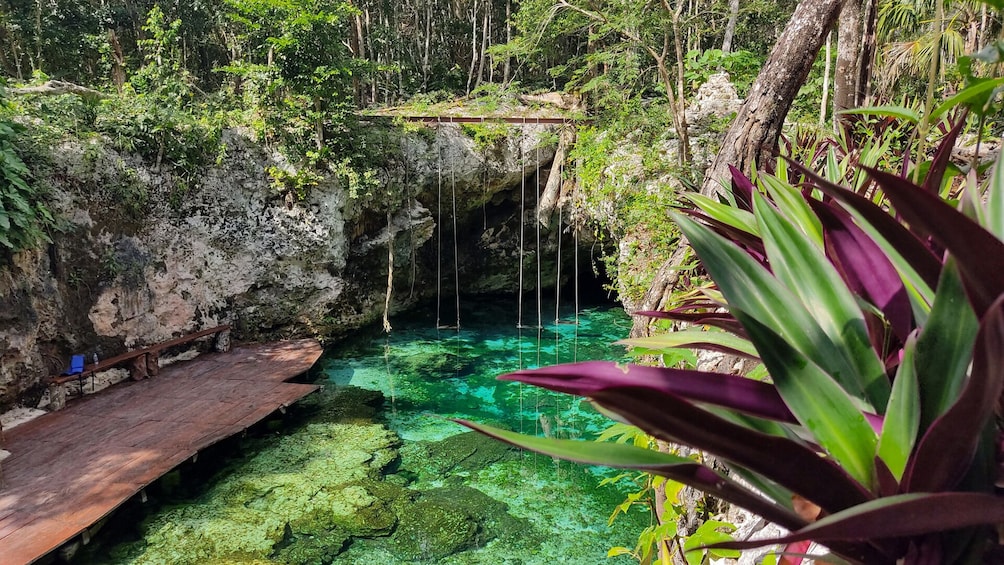 Day Trip to Tulum, Playa del Carmen & Cenote Mariposa - Lunch Included