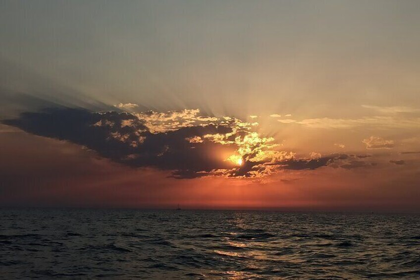 Sunset Dolphin Watching with Drinks in Rovinj