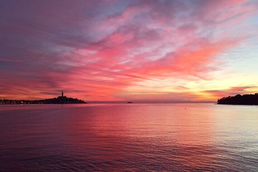 Sunset Dolphin Watching with Drinks in Rovinj