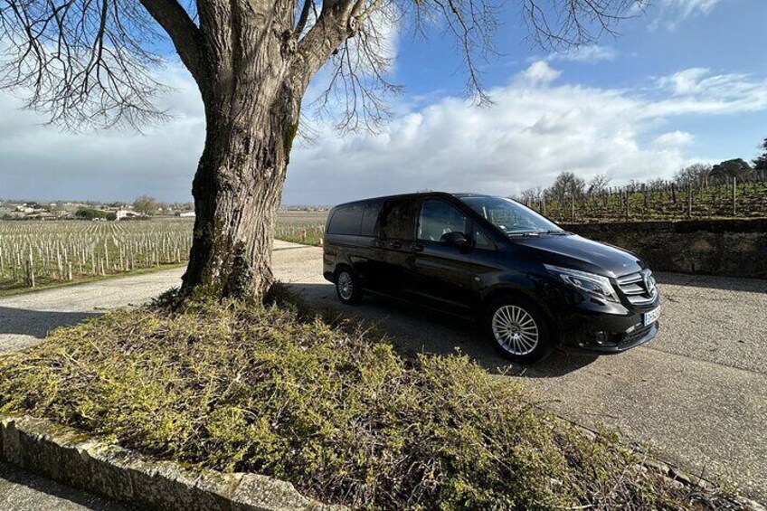 Visits and Tastings in the Médoc in Small Group with Meal