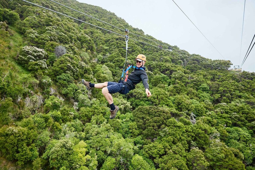 Picture 5 for Activity Kaikōura: Zipline and Native Forest Adventure Trip