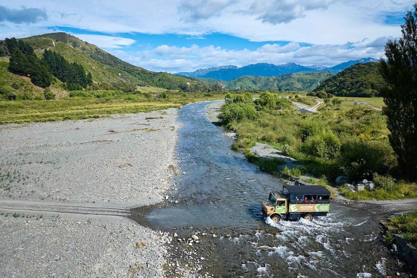 Picture 4 for Activity Kaikōura: Zipline and Native Forest Adventure Trip