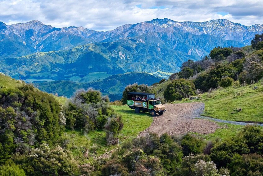 Picture 1 for Activity Kaikōura: Zipline and Native Forest Adventure Trip