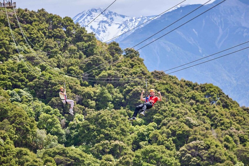 Picture 2 for Activity Kaikōura: Zipline and Native Forest Adventure Trip