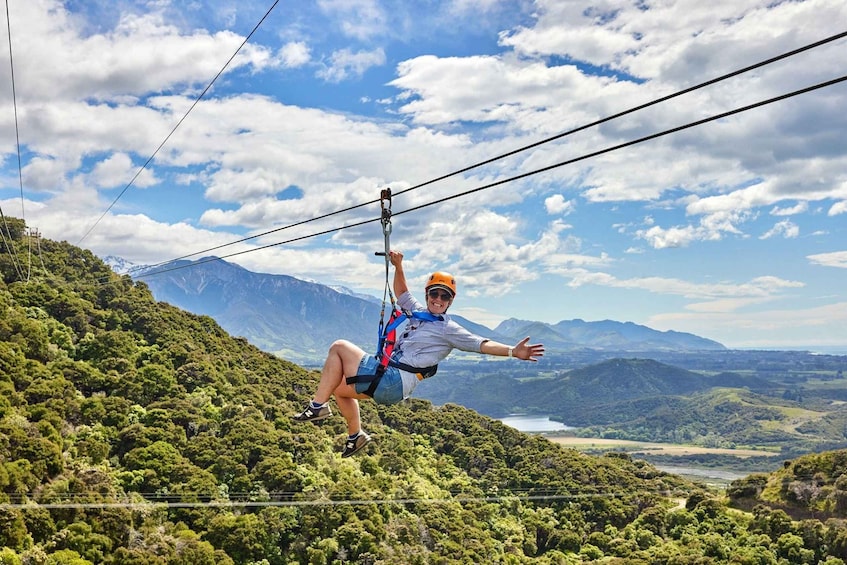 Picture 9 for Activity Kaikōura: Zipline and Native Forest Adventure Trip