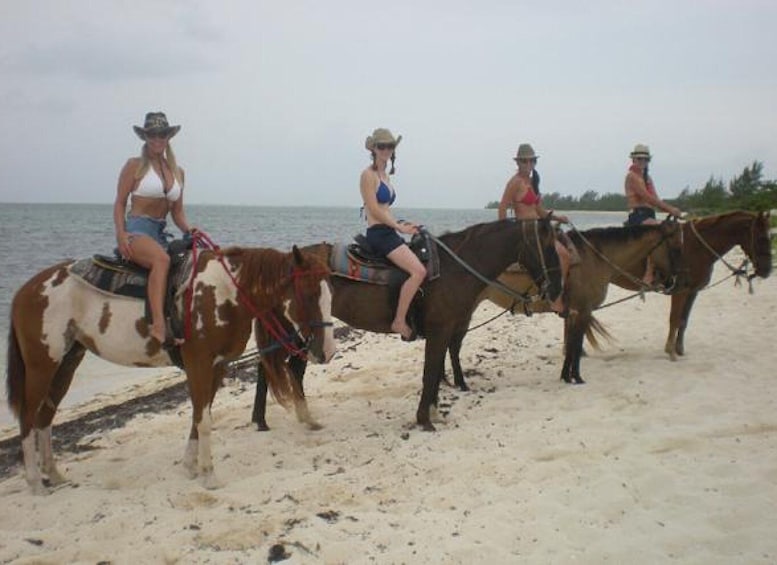 Picture 1 for Activity Horseback Beach Riding in the Grand Cayman