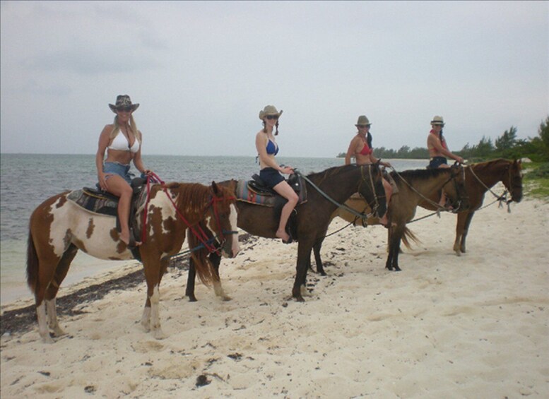 Picture 1 for Activity Horseback Beach Riding in the Grand Cayman