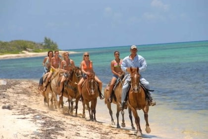在大开曼岛骑马游览海滩