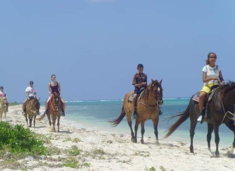 Picture 2 for Activity Horseback Beach Riding in the Grand Cayman