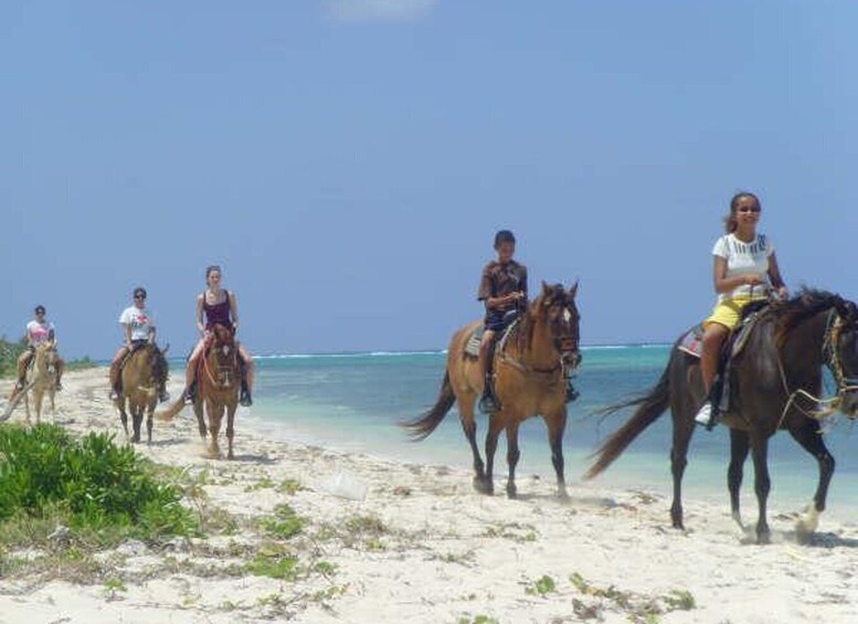 Picture 2 for Activity Horseback Beach Riding in the Grand Cayman