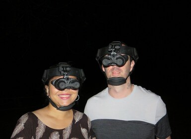 Byron Bay : Promenade nocturne dans la nature avec des lunettes de vision n...