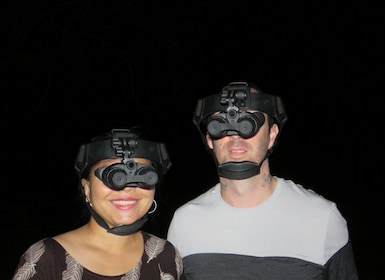 Byron Bay: paseo nocturno por la naturaleza con gafas de visión nocturna