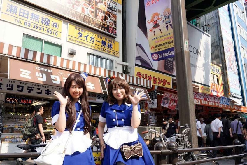 Picture 1 for Activity Tokyo: Akihabara 2-Hour Guided Walking Tour