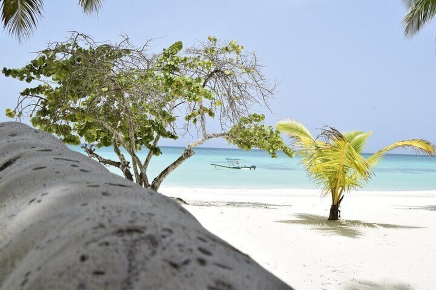 Saona Island from Santo Domingo, Full day all included