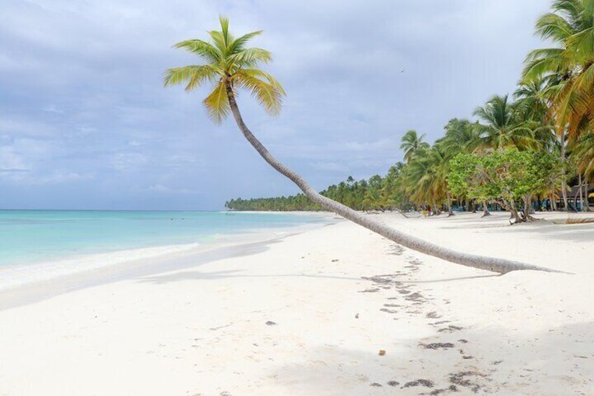 Saona Island from Santo Domingo, Full day all included