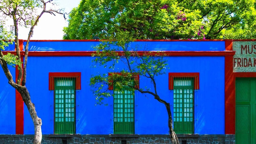 Picture 2 for Activity Mexico City: Coyoacan Biking Tour with Frida Kahlo Museum