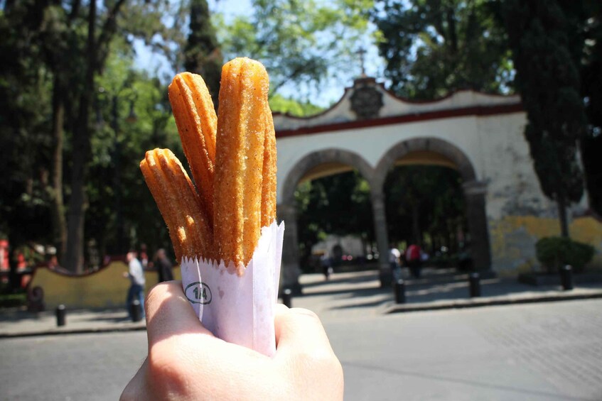 Picture 4 for Activity Mexico City: Coyoacan Biking Tour with Frida Kahlo Museum