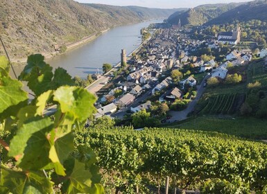 Tour privado por el valle del Rin con crucero por el río y cata de vinos