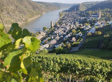 Privat rundtur i Rhendalen med flodkryssning och vinprovning
