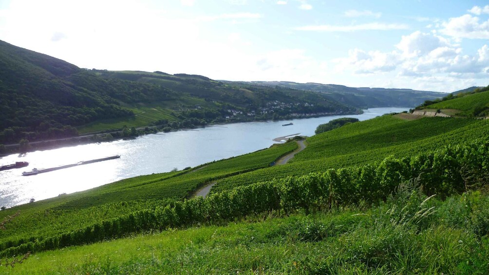 Picture 3 for Activity Private Rhine Valley tour with river cruise & wine tasting