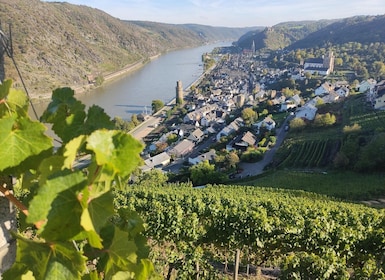 Tour privado por el valle del Rin con crucero por el río y cata de vinos