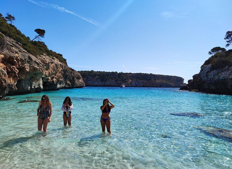 Picture 9 for Activity Mallorca: Des Moro, Salmunia and Llombards Day Trip