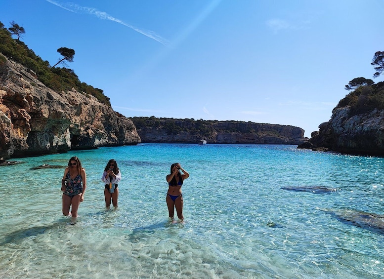 Picture 9 for Activity Mallorca: Des Moro, Salmunia and Llombards Day Trip