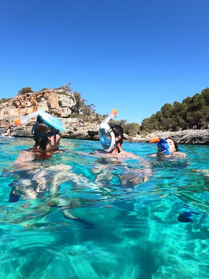 Picture 29 for Activity Mallorca: Des Moro, Salmunia and Llombards Day Trip