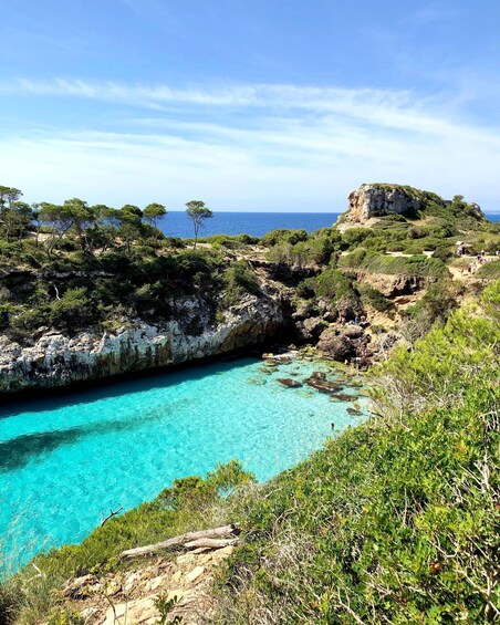 Mallorca: Des Moro, Salmunia and Llombards Day Trip