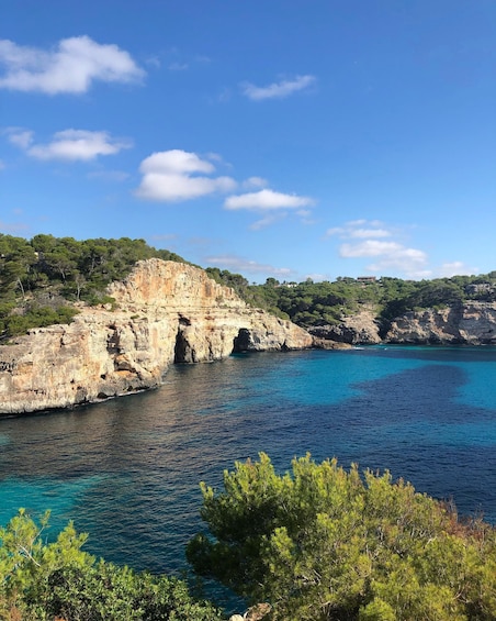 Picture 14 for Activity Mallorca: Des Moro, Salmunia and Llombards Day Trip