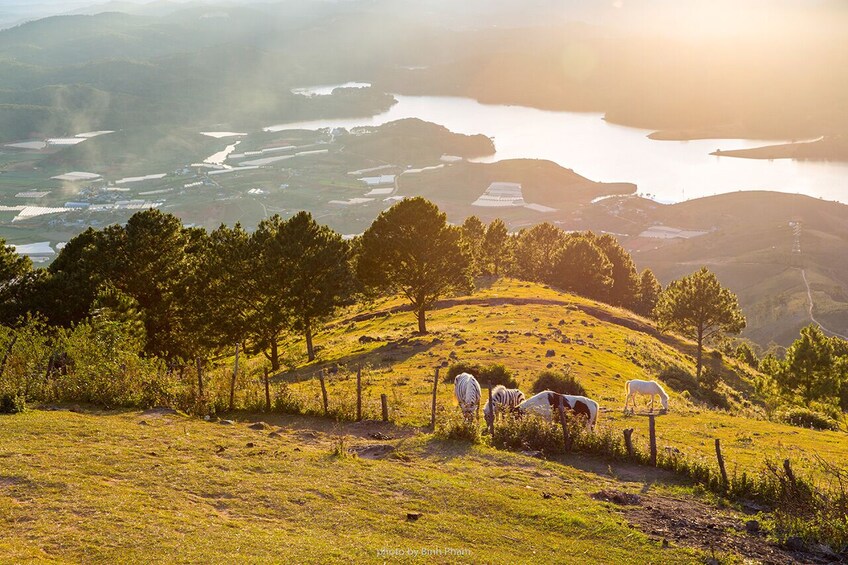 Full-day Da Lat Adventure Tour