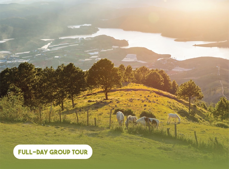 Full-day Adventurous Day In Da Lat's Nature