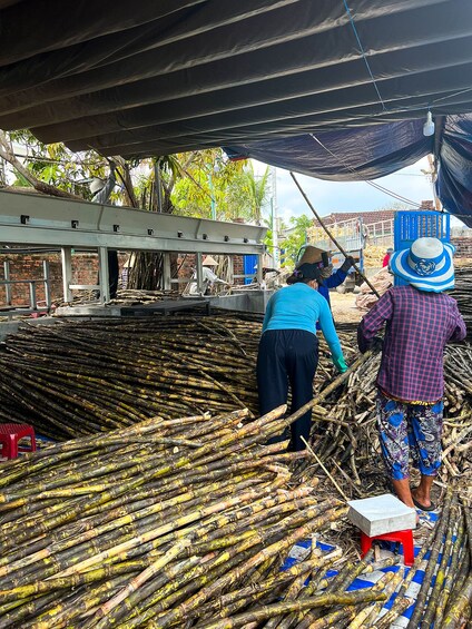 Half-day Fish Village & Famous Vietnam Sampan