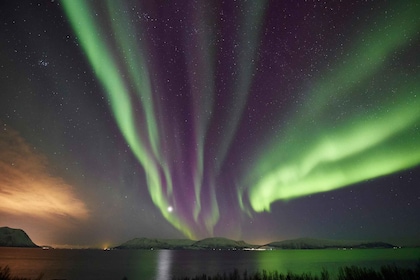 Tromsø: persecución privada de 6 horas por la aurora boreal en minivan