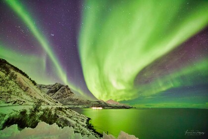 Tromsø: persecución privada de 6 horas por la aurora boreal en minivan