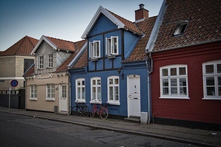 Aalborg Private Cultural Walking Tour