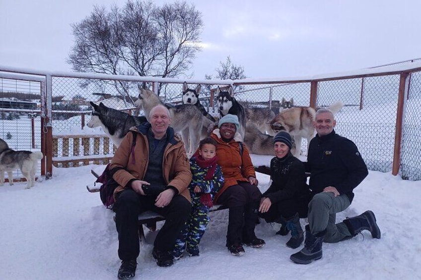 Husky Petting, in Akureyri