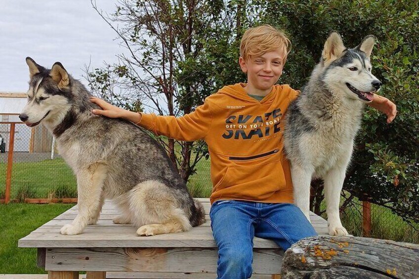 Husky Petting, in Akureyri