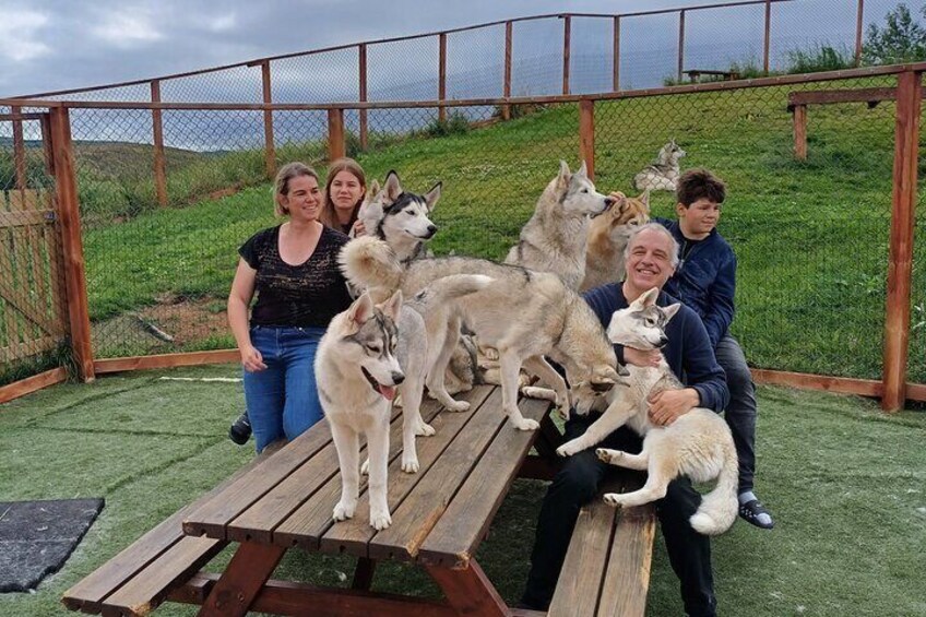 Husky Petting, in Akureyri