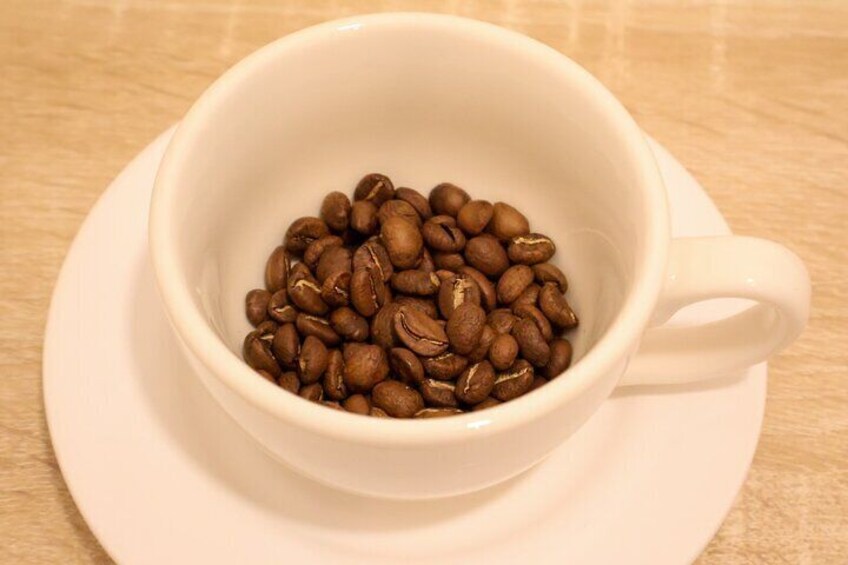 Cartagena: Gastronomic experience in Getsemaní and coffee class