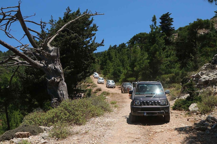 Picture 3 for Activity Rhodes: Self-Drive 4x4 Safari Tour with North Pickup